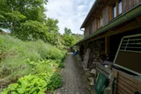 Weg/Holzlager Rückseite