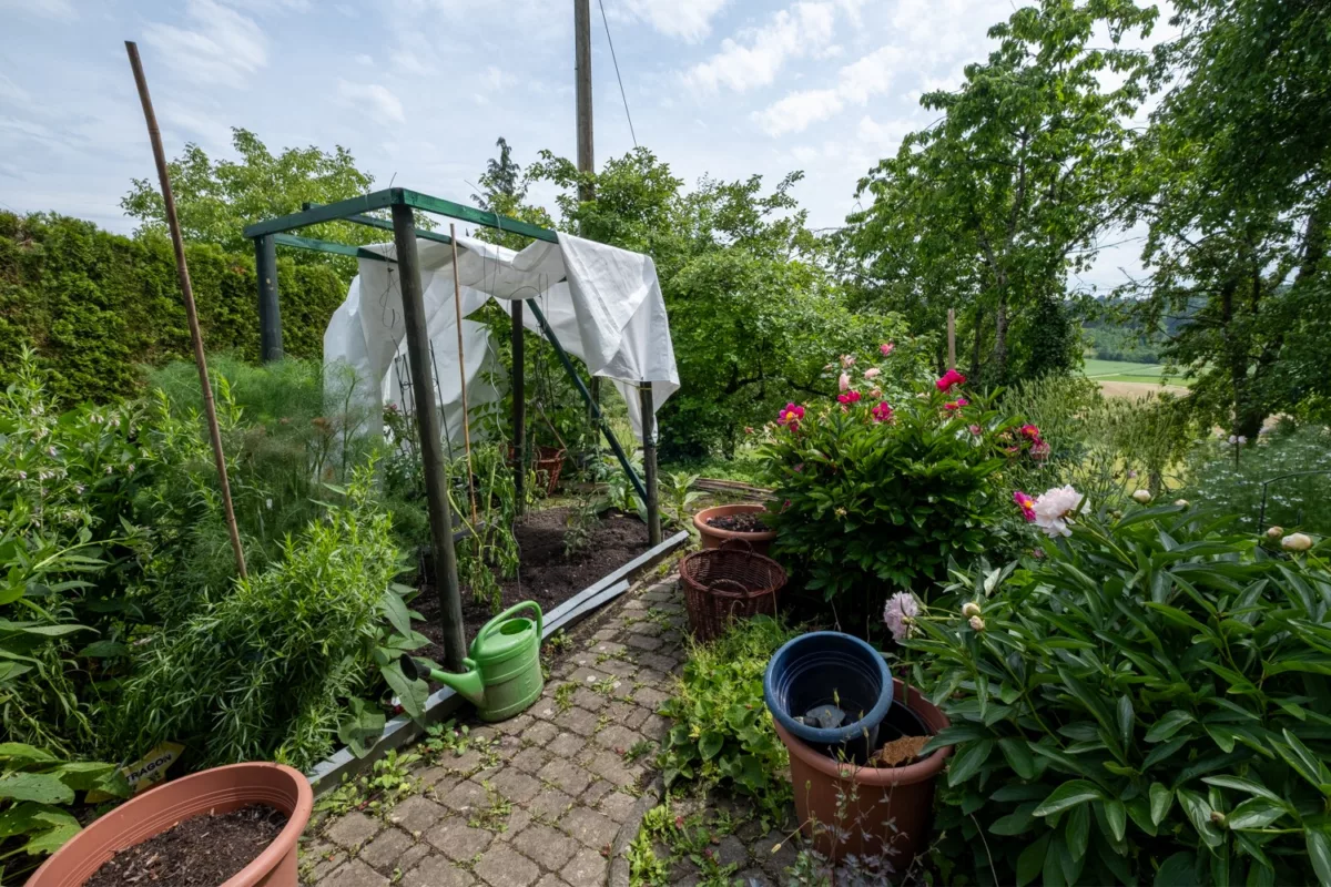 Gemüse-/Kräutergarten am Haus