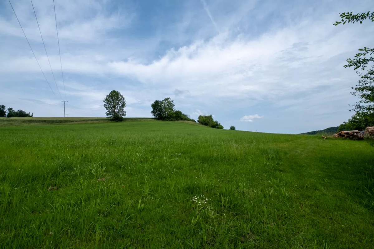 riesige Wiesenlandschaft