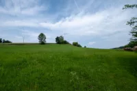 riesige Wiesenlandschaft