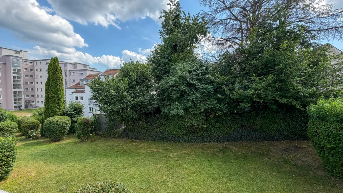 Blick in Garten