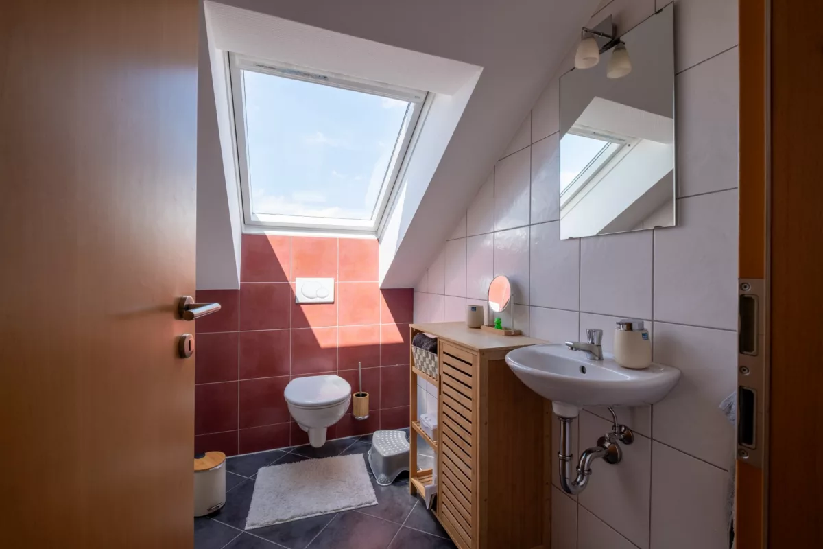 separates WC DG