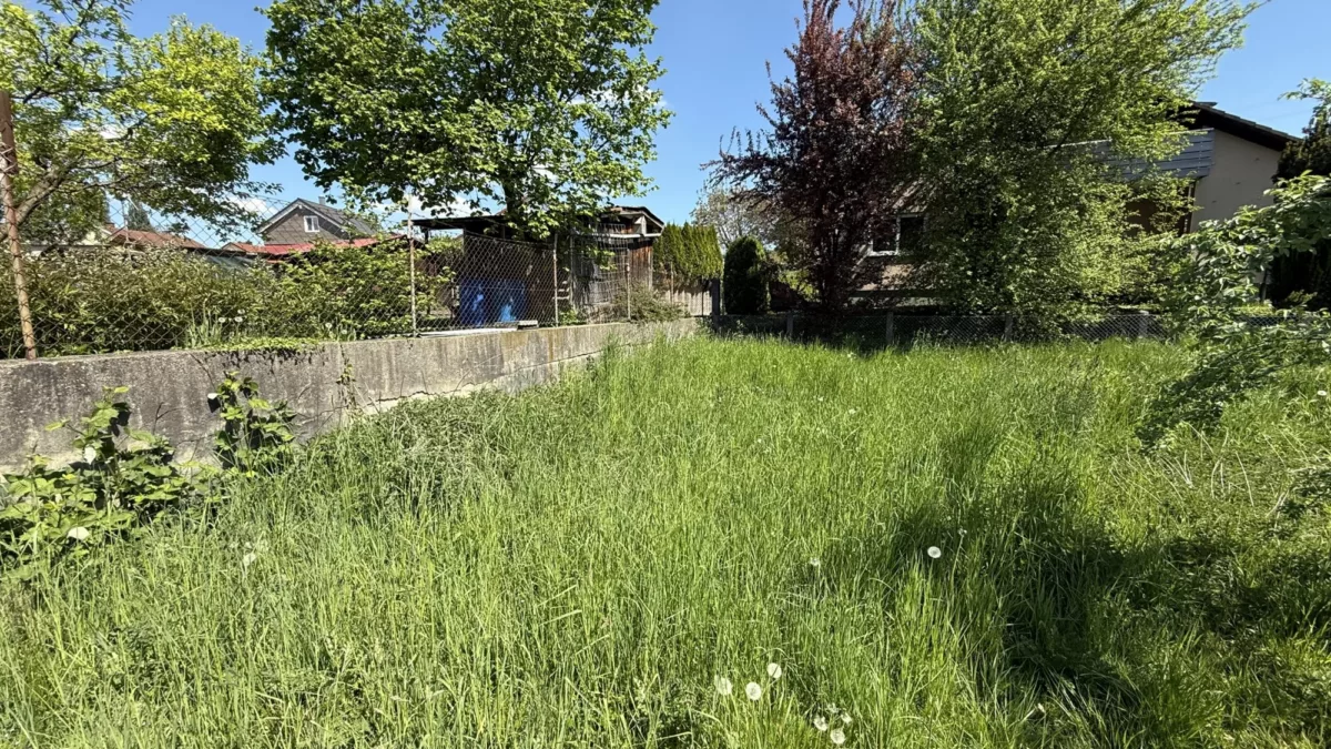nordöstliche Grundstücksecke