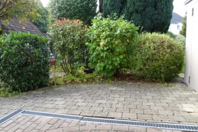 GANZ ZENTRAL! Hübsche 1-Zimmer-Einliegerwohnung mit Terrasse mitten in Horgenzell, 88263 Horgenzell, Wohnung